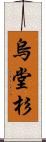 烏堂杉 Scroll