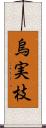 烏実枝 Scroll