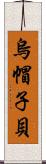 烏帽子貝 Scroll