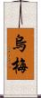 烏梅 Scroll
