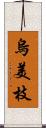 烏美枝 Scroll