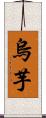 烏芋 Scroll