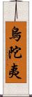 烏陀夷 Scroll