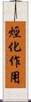 烴化作用 Scroll