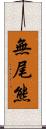 無尾熊 Scroll