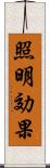 照明効果 Scroll