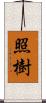 照樹 Scroll