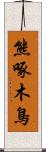 熊啄木鳥 Scroll