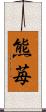 熊苺 Scroll