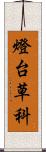 燈台草科 Scroll