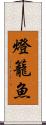 燈籠魚 Scroll