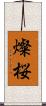 燦桜 Scroll