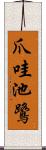 爪哇池鷺 Scroll