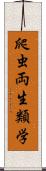 爬虫両生類学 Scroll