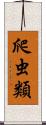 爬虫類 Scroll