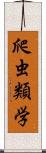 爬虫類学 Scroll