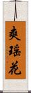 爽瑶花 Scroll