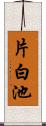 片白池 Scroll