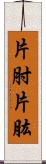 片肘;片肱 Scroll