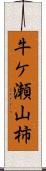 牛ケ瀬山柿 Scroll