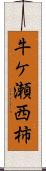牛ケ瀬西柿 Scroll