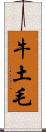 牛土毛 Scroll