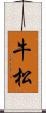 牛松 Scroll