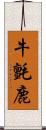 牛氈鹿 Scroll