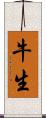 牛生 Scroll