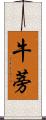 牛蒡 Scroll