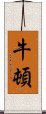 牛頓 Scroll