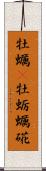 牡蠣(P) Scroll