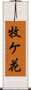 牧ケ花 Scroll