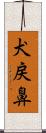 犬戻鼻 Scroll