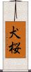 犬桜 Scroll