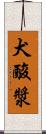 犬酸漿 Scroll