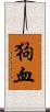 狗血 Scroll