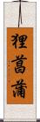 狸菖蒲 Scroll