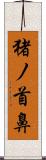 猪ノ首鼻 Scroll