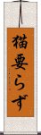 猫要らず Scroll