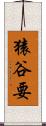 猿谷要 Scroll
