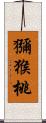 獼猴桃 Scroll