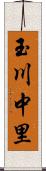 玉川中里 Scroll