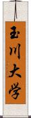 玉川大学 Scroll