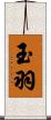 玉羽 Scroll