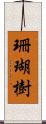 珊瑚樹 Scroll