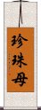 珍珠母 Scroll