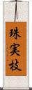 珠実枝 Scroll