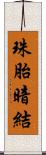 珠胎暗結 Scroll