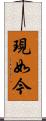 現如今 Scroll